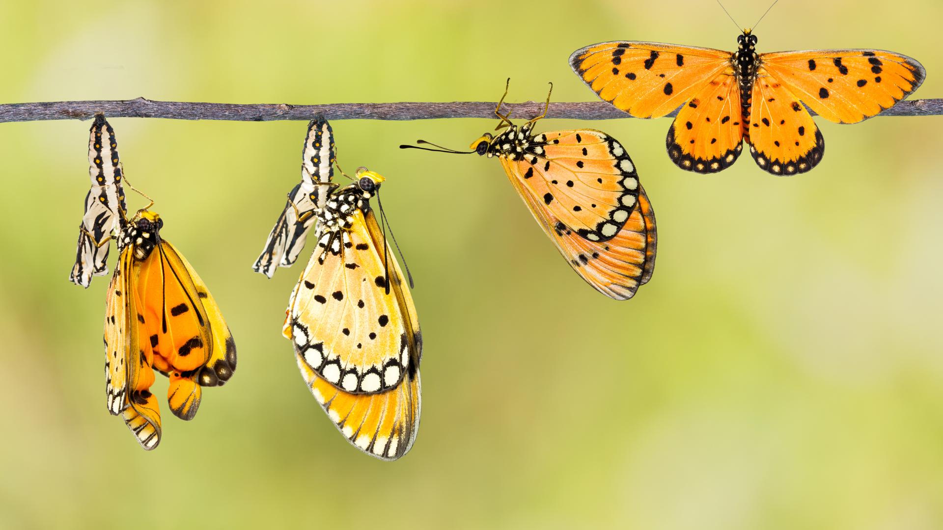 BLOG # 3 3. Healing Doesn’t Always Look Like Progress BLOG # 3 3. Healing Doesn’t Always Look Like Progress